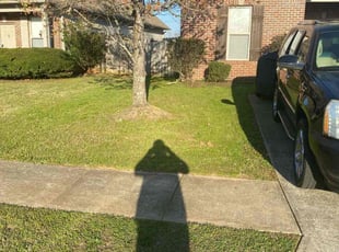Ashley T.'s Lawn Care service result
