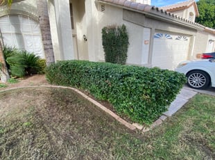 Bush Trimming by jimmy ruiz for LaToya H. in Gilbert, AZ
