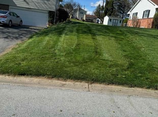 Daeja M.'s Lawn Service service result