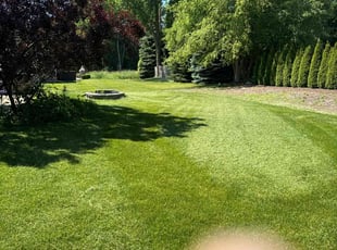 Francis H.'s Lawn Service service result