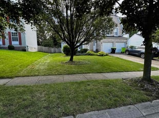 Jason P.'s Yard Cutting service result