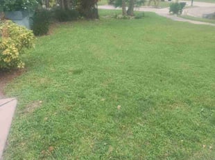 Joseph E.'s Lawn Mowing service result