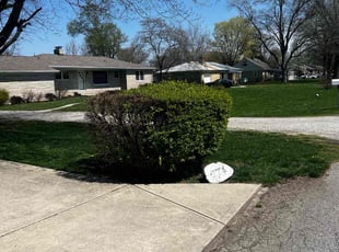 Bush Trimming by Gilberto Garcรญa for Cinnamon Z. in Indianapolis, IN