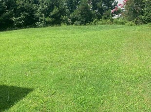 Robert S.'s Lawn Service service result