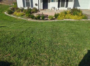 Jasmin O.'s Lawn Mowing service result