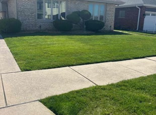 ishanu c.'s Lawn Service service result