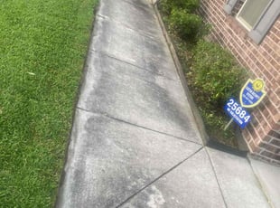 Alice W.'s Bush Trimming service result