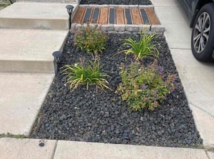 Weeding by Brennen Spratte for Brandon P. in Colorado Springs, CO