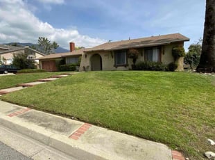 Damary T.'s Lawn Care service result
