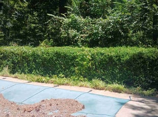 Bonita S.'s Bush Trimming service result