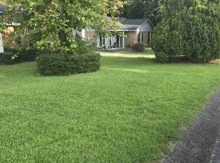 Carl G.'s Lawn Mowing service result