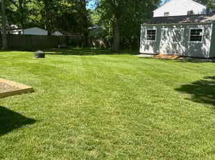 Julian C.'s Lawn Care service result