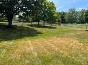 james t.'s Lawn Service service result