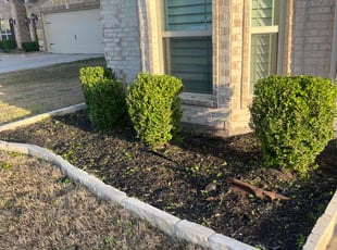 Bush Trimming by Cameron Mitchell for Harry D. in Fort Worth, TX