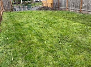 Tina P.'s Lawn Maintenance service result