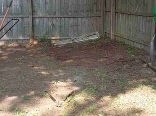 Cleanups by Debbie Carper for Chelsea I. in Chesapeake, VA