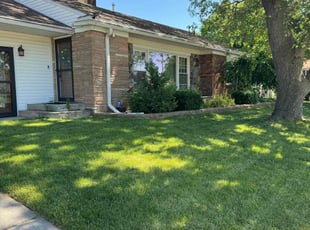 Daryl S.'s Lawn Mowing service result
