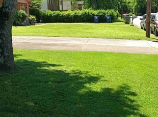 Deborah l.'s Lawn Service service result