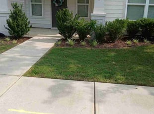 Franklin M.'s Lawn Service service result