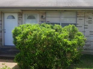 Bush Trimming by Gerald Helmke for Darren L. in Kenner, LA