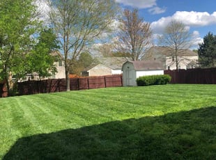 Brittany B.'s Lawn Mowing service result