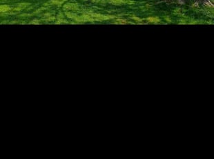 John A.'s Lawn Care service result