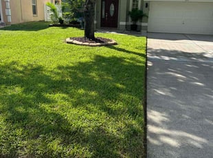 Bryan T.'s Lawn Mowing Service service result