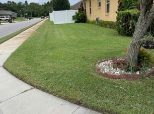 Steve H.'s Lawn Care service result