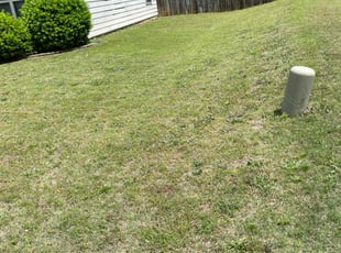 Joseph M.'s Grass Cutting service result