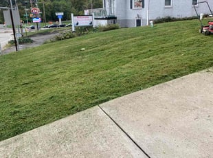 Paul G.'s Lawn Mowing service result