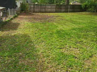 Leaf Removal by Devon Shepard for Emily C. in Gastonia, NC