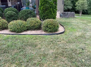 Bush Trimming by LaWanda Moses for Terri O. in Mechanicsville, VA