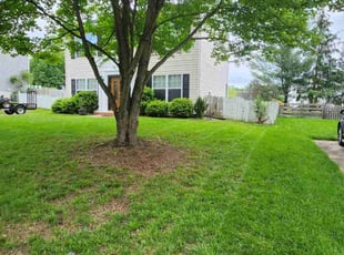 Jennifer S.'s Lawn Maintenance service result