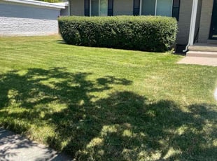 Lauren P.'s Lawn Service service result