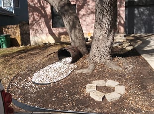 Cleanups by Jason Westgor for Andrew E. in San Antonio, TX