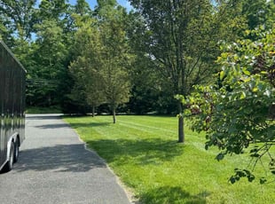 Rhonda S.'s Grass Cutting service result