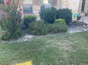 Weeding by Bradley Matthiesen for Danielle E. in Boerne, TX