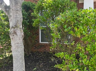 Bush Trimming by Ross Stevens for Taylor B. in Canton, GA