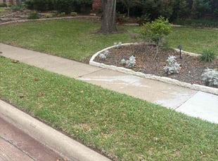 Weeding by James Littlejohn for Matthew C. in Plano, TX