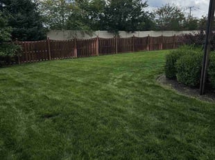 Candice P.'s Lawn Care service result