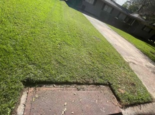 David G.'s Lawn Mowing service result