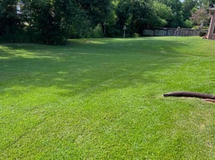 James J.'s Lawn Care service result