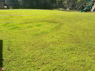 Jonathan P.'s Lawn Service service result