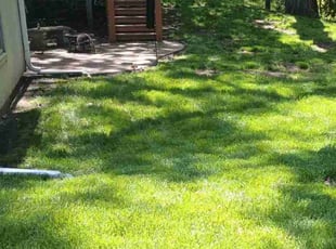 Mike H.'s Grass Cutting service result