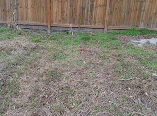 Leaf Removal by Quashell Gumbs for Maria M. in Houston, TX