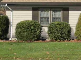 Bush Trimming by Francisco A Monrroy Velasquez for David B. in San Antonio, TX