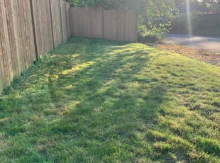 DeAndra J.'s Lawn Service service result