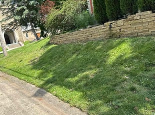 Duane B.'s Lawn Maintenance service result