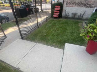 Desiree S.'s Lawn Service service result