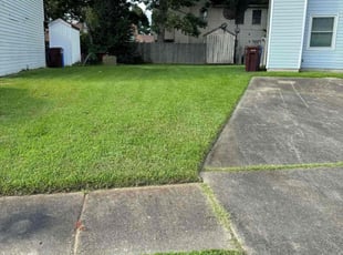 Jorgie F.'s Lawn Service service result